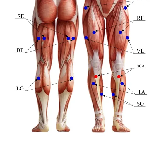 NCV All 4 Limbs In DLF Phase 2